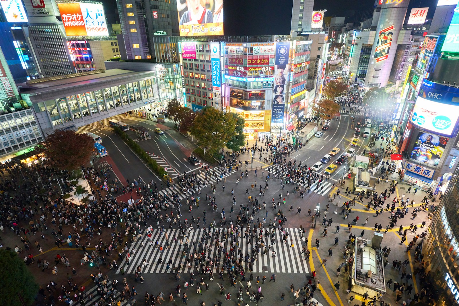 Books That Bring Tokyo to Life: Stories Set in Japan’s Electric Heartbeat